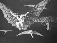 Goya: Disparate 13: Modo de volar, 